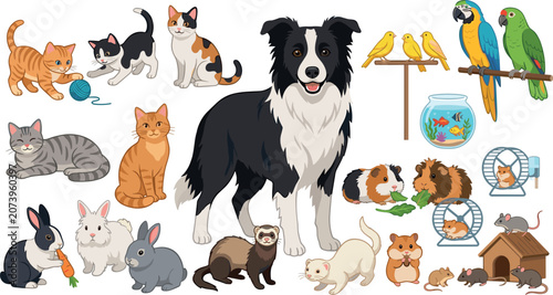 Slika na platnu Domestic pets and cute animals vector illustration collection featuring a border