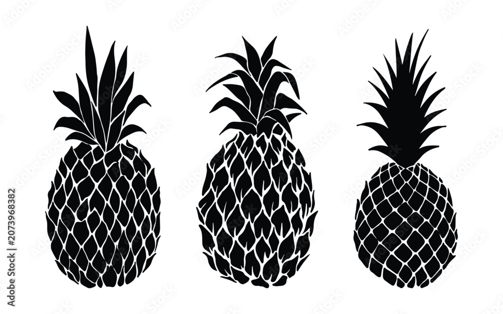 Obraz premium Pineapple Icon Set – Tropical Fruit, Fresh Pineapple, Summer Food, Outline, Solid & Silhouette Vector Collection