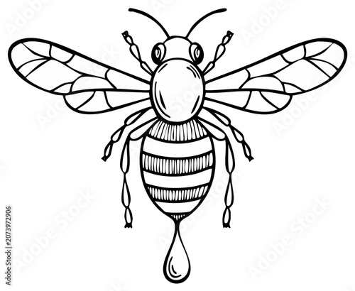 Black and white line drawing of a honey bee with a drop of honey, isolated vector illustration
