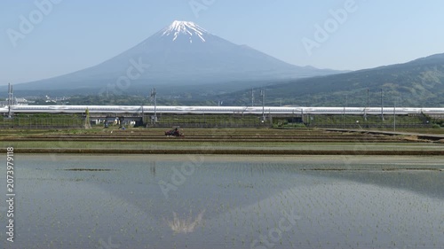 Mt. Fuji Reflected in Rice Paddies in Spring wit Farming Tractors and Shinkansen Bullet Trains (Realtime | Panning | No Audio)