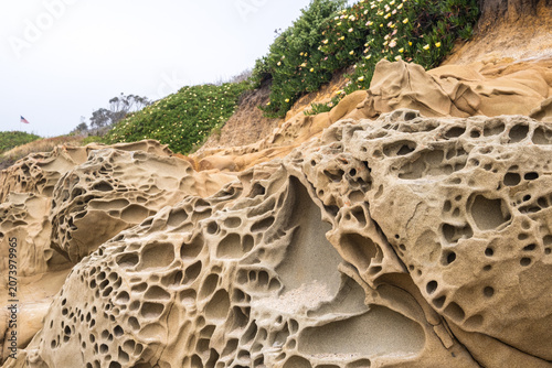 tafoni honeycomb rock formations at Bean Hollow State Park, California