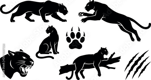 Canvas Print Black Panther and Jaguar Silhouette Set with Roaring Head Paw Print and Scratch