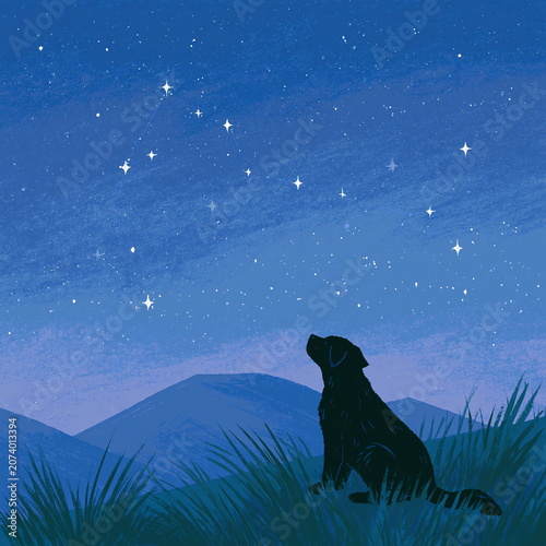 a starry sky that is not too dark. It’s light, but still nighttime. Show the Canis Major constellation