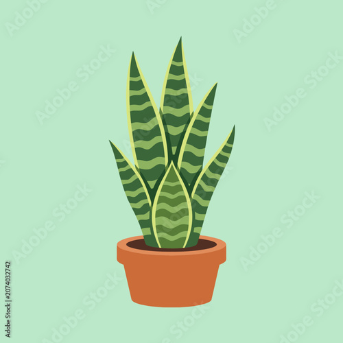 A potted snake plant sits against a soft green background