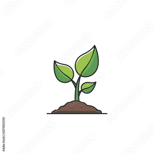 Green seedling with leaves growing from soil