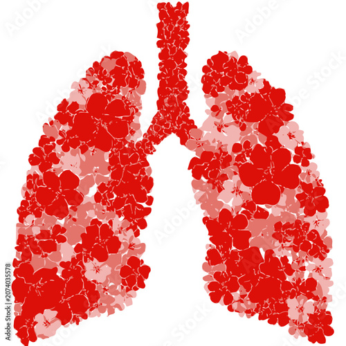 Human lungs and trachea vector illustration