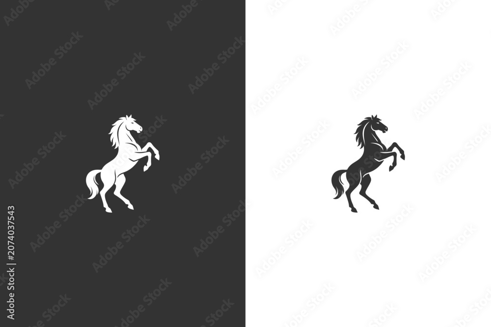 Fototapeta premium A striking silhouette of a rearing horse captured in motion with contrasting dark and light backgrounds, emphasizing energy and power