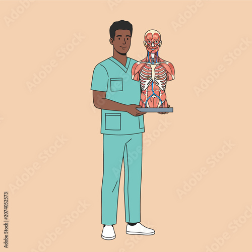 Black doctor in scrubs holding human anatomy model on a peach background