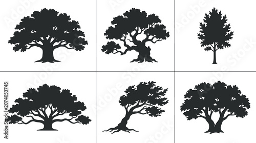 Foto Old Oak Tree Black Silhouette Vector Set Featuring Isolated Large Crowns Gnarly
