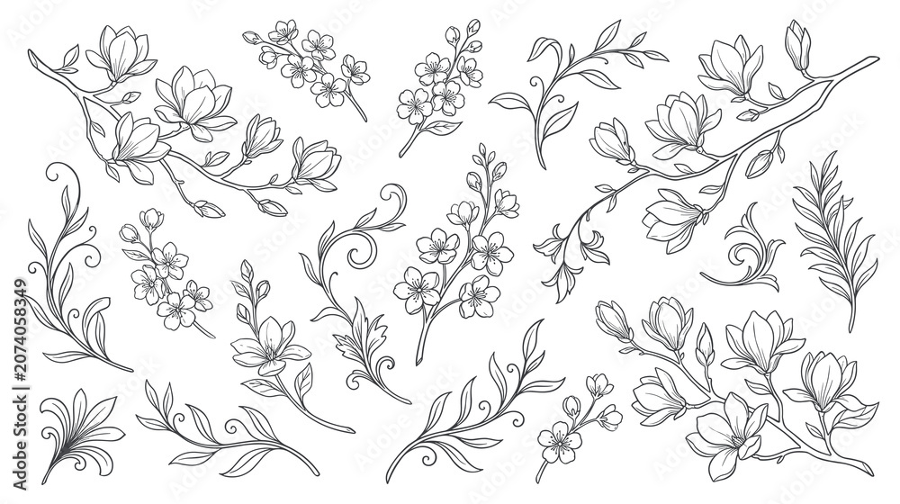Fototapeta premium Beautiful delicate flower branches set of line art illustrations.