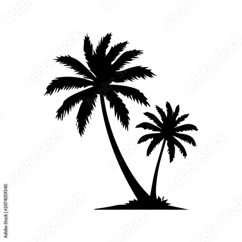 palm tree silhouette