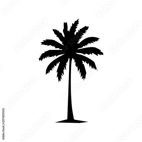 palm tree silhouette