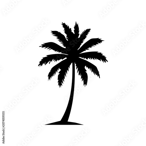 palm tree silhouette