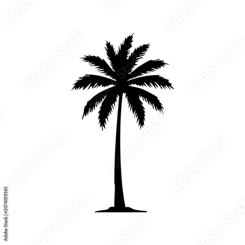 palm tree silhouette