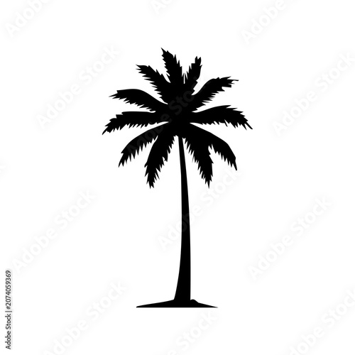 palm tree silhouette