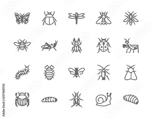 Comprehensive Line Art Icon Set Featuring Diverse Insects and Arthropods
