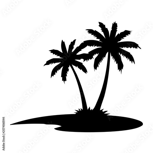 palm tree silhouette