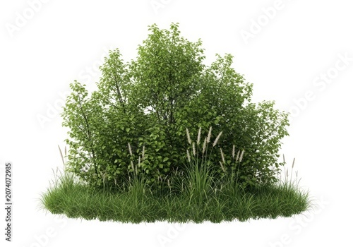 Green bush shaped like a tree in a garden