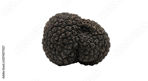Fotografie Whole black truffle mushroom isolated on transparent background