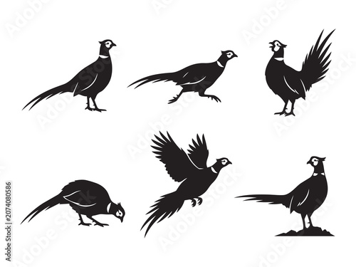 dynamic set of six black pheasant bird silhouettes running, flying, and standing on a white background
