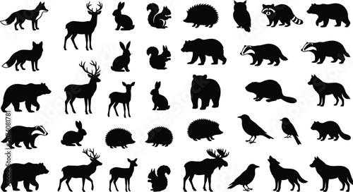 Collection of black silhouettes of wild animals and birds on white background, deer rabbit squirrel