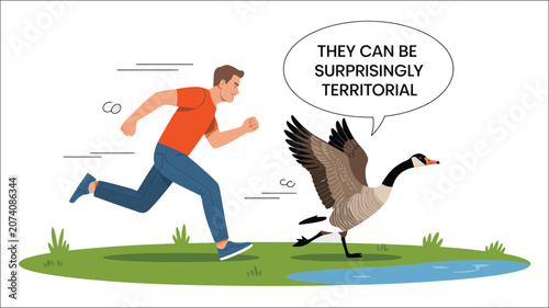 Konstfotografi Canada goose chasing man, humorous urban wildlife encounter illustration, territ