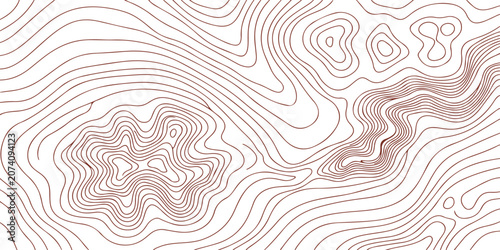 Rose Gold Topographic Contour Background: Elegant abstract terrain lines with flowing minimal pattern