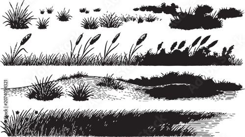 Foto Vector grass and reeds illustration set with various cattail and foliage designs