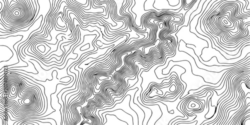 Monochrome Topographic Terrain Background: Abstract gray contour map with dynamic flowing elevation lines