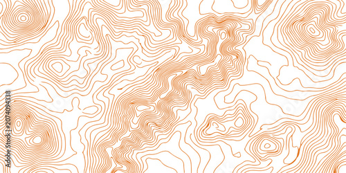 Abstract Peach Topographic Contour Background: Minimal flowing map lines with modern organic pattern