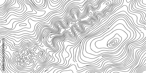Monochrome Topographic Contour Background: Abstract elevation line pattern with fluid geographic curves