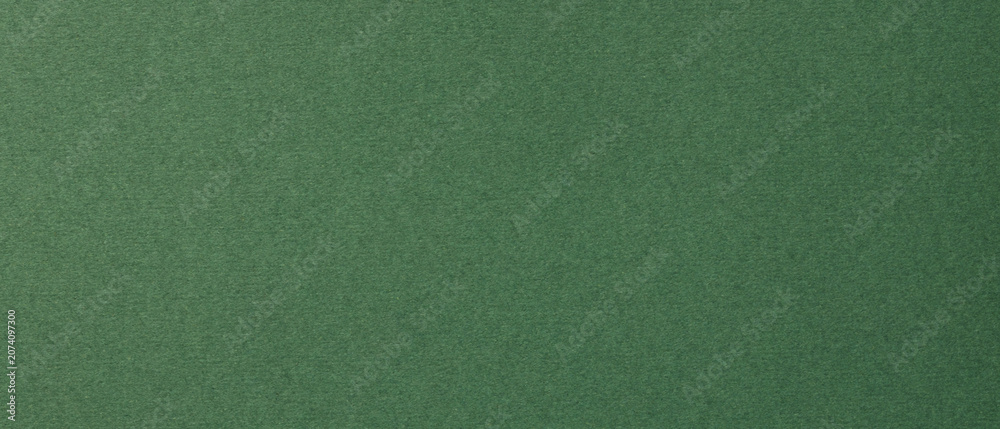 Fototapeta premium Green textured paper background with natural grain for design templates