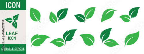 Foto Leaf sprout icon vector set, green leaves plant eco logo symbol simple graphic i