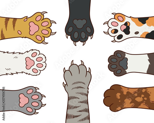 Photography A collection of eight diverse cat paws with extended claws, showcasing various fur patterns and colors