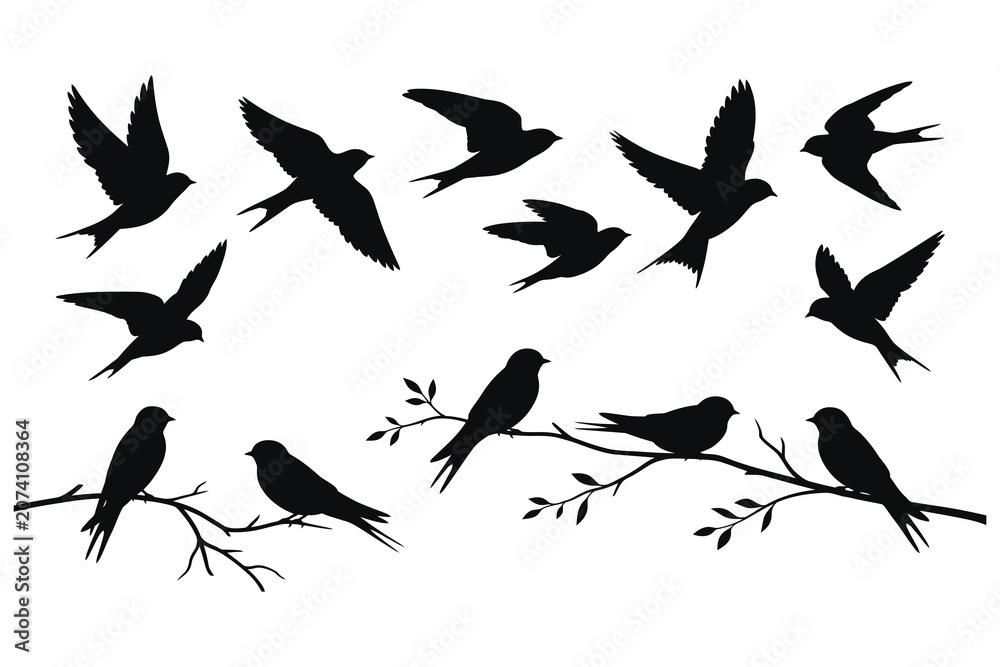 Fototapeta premium Black Silhouette Birds Flying and Perched on Branches Vector Illustration