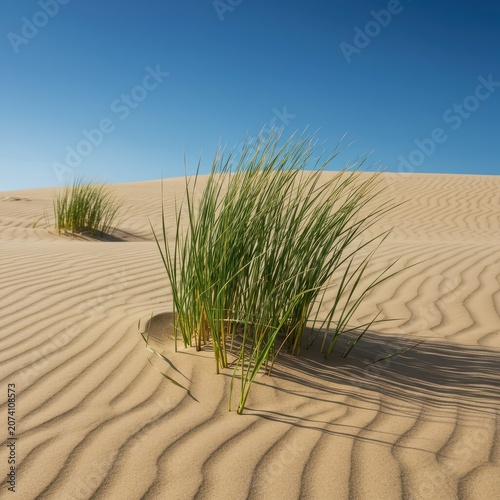Resilient green grass sprouts from massive wind-swept sand dunes under a harsh blue sky, highlighting arid natural beauty and ecological survival, hot, outdoor, strong