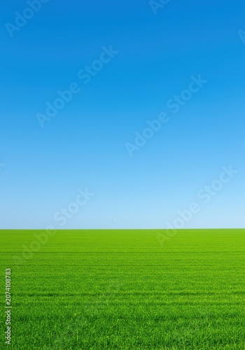 Vibrant green ground plane meeting a vast, empty blue sky. Clean, minimalist nature composition suggesting freedom and renewal, saturated, minimal, environment