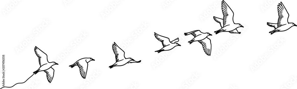 Fototapeta premium Minimalist outline drawing of a flock of birds flying in formation with formation migration minimalist wildlife monochrome isolated background