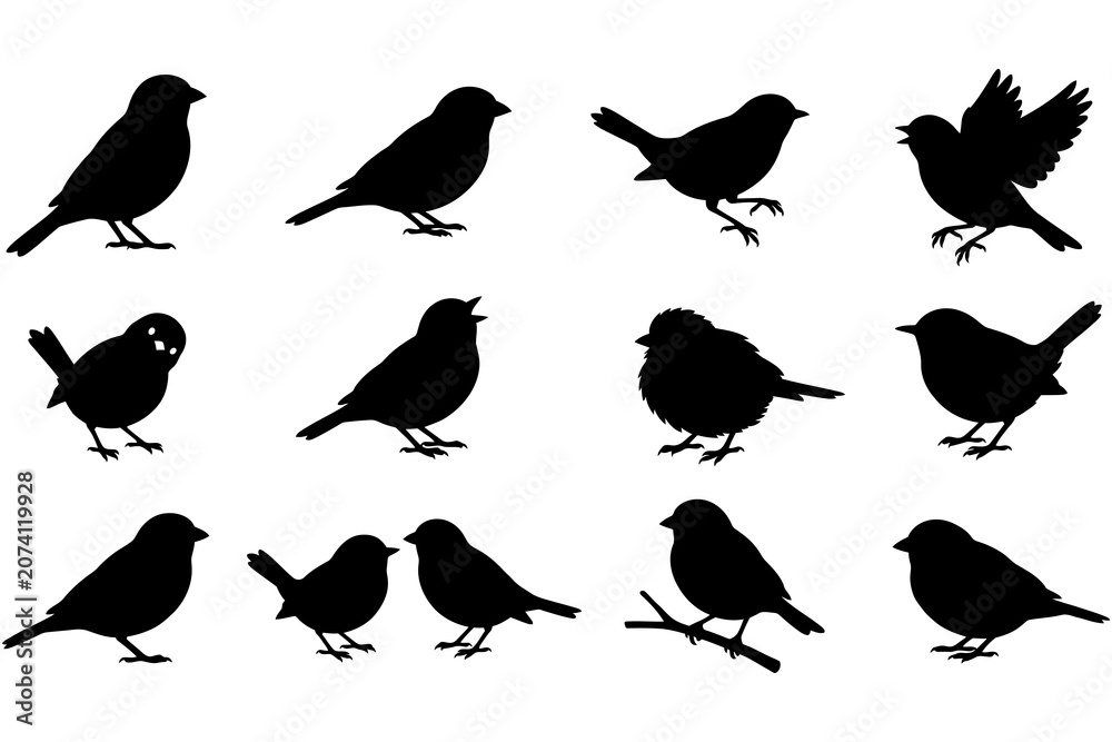Fototapeta premium Black silhouette birds collection various poses transparent background