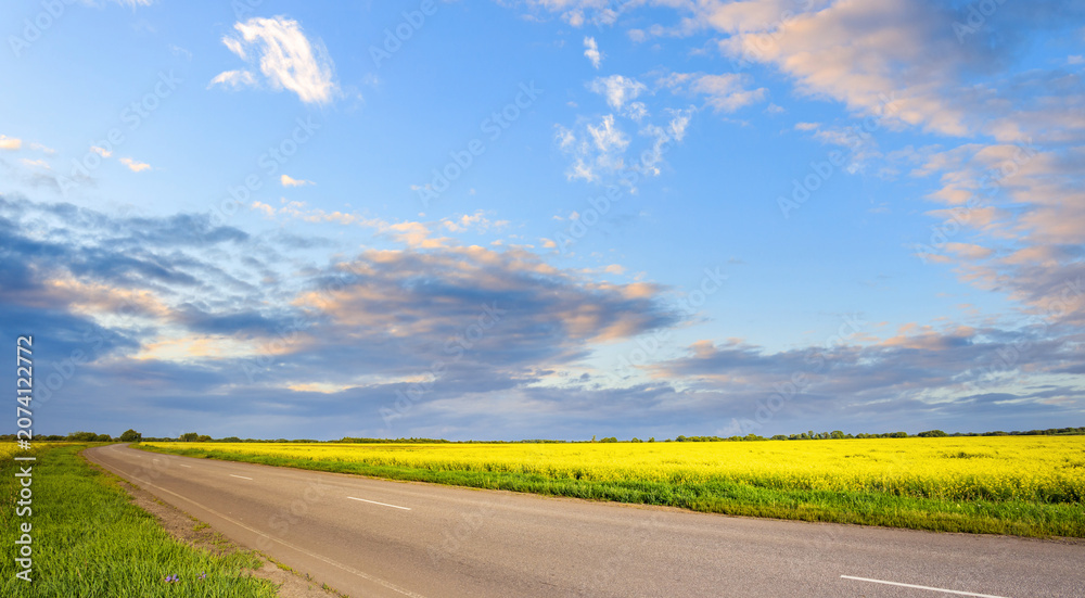 Fototapeta premium Golden field stretches beside a winding road