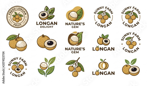 Organic Longan Fruit Logo Design Vector EPS 10 Illustration Tropical Fruit Isolated on White