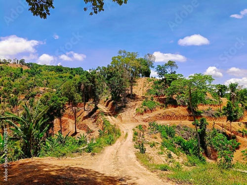 Фотография Deforestation and land degradation on mountain slopes with a dirt road, environmental crisis and destruction concept