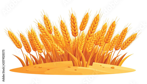 Golden Wheat Ears in Agriculture Field.