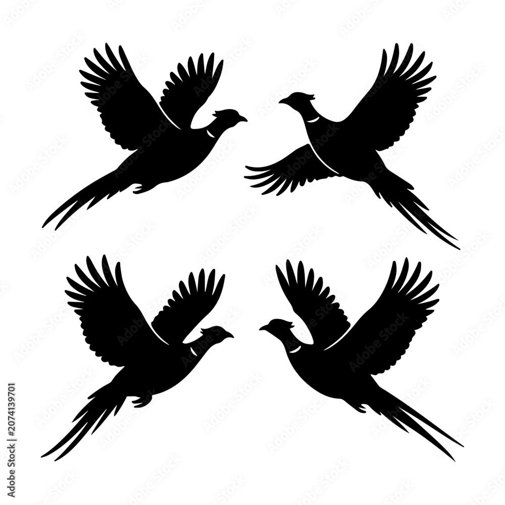 Fototapeta premium Flying pheasant silhouette icon set