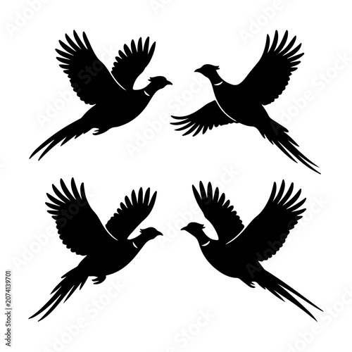 Flying pheasant silhouette icon set