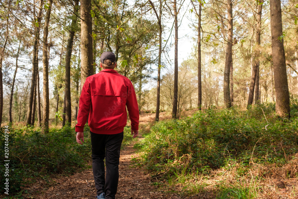Obraz premium Man walking path in forest exploring nature