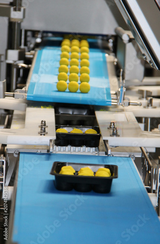 Food Processing Machine Loading Balls into Plastic Trays.