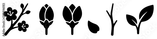 Foto Black silhouettes of various plant buds and leaves on white background