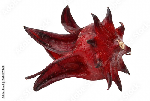 Fotografi Vibrant Red Roselle Hibiscus Sabdariffa Fruit Closeup
