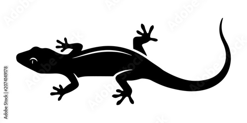 Photos Black Gecko Silhouette on Minimalist White Background, Exotic Reptile Wildlife S